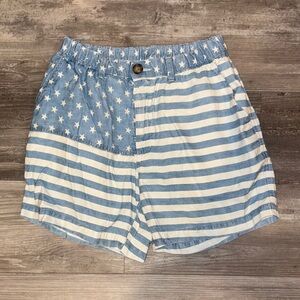 Men’s Chubbies Blue and White Striped Flag Shorts